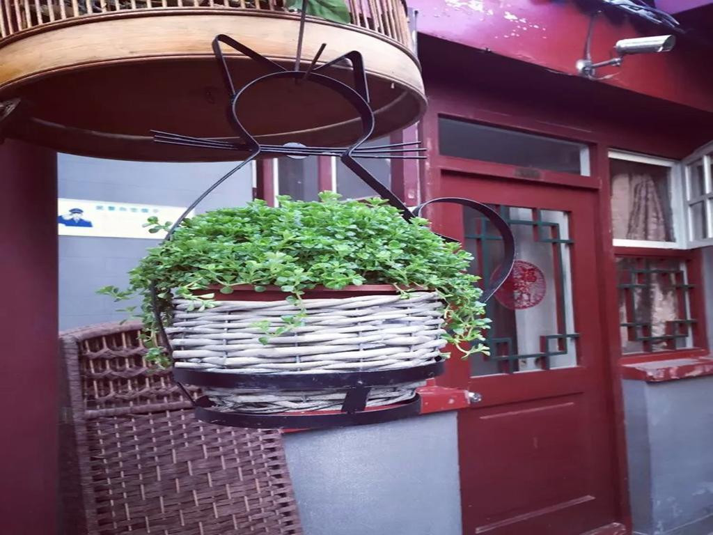 Three Legged Frog Hostel Pekin Dış mekan fotoğraf
