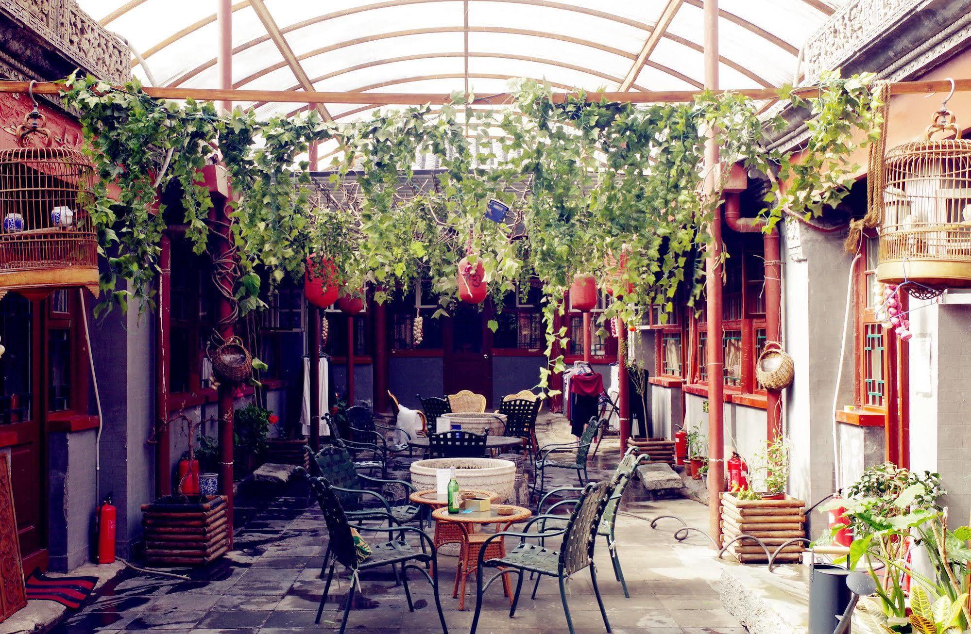 Three Legged Frog Hostel Pekin Dış mekan fotoğraf